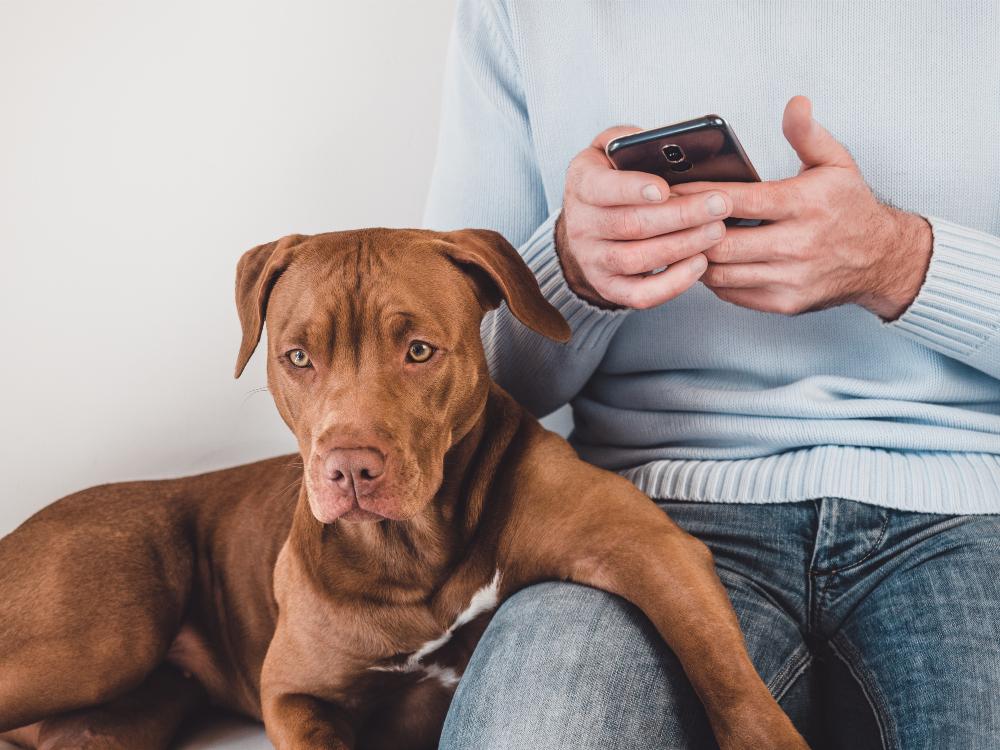 A man texting next to his dog.