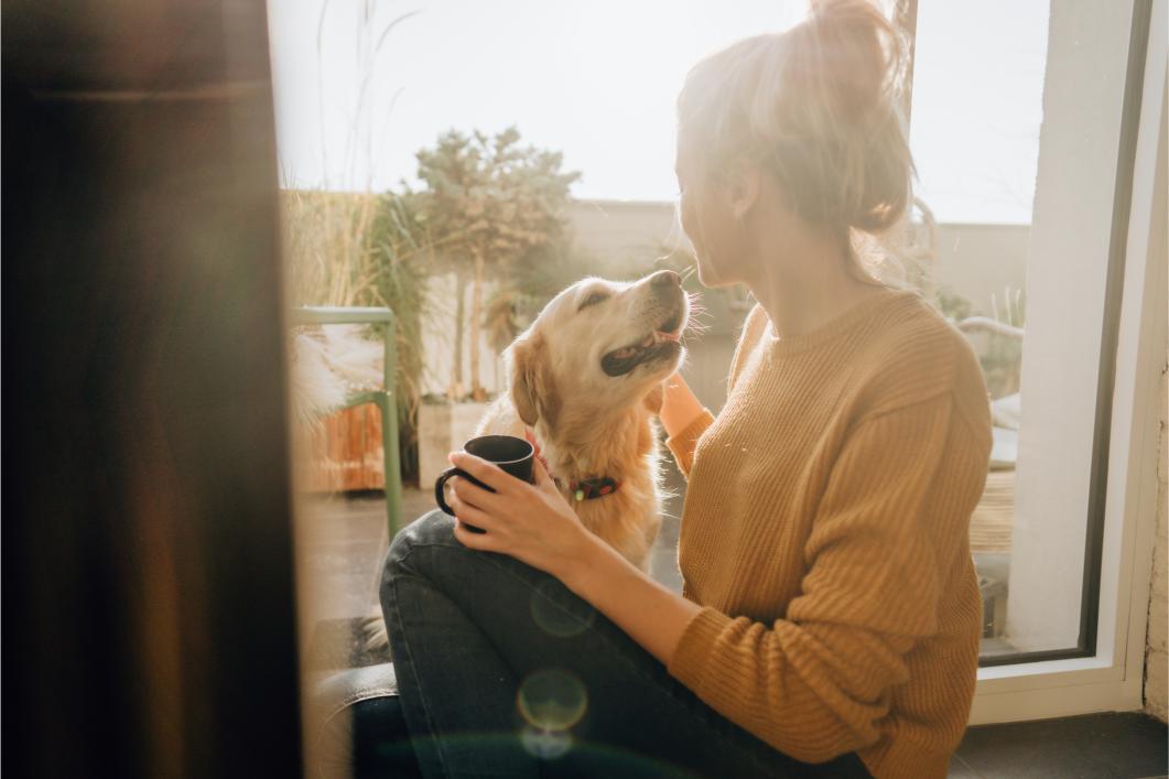 Why Some Pets Struggle More With Routine Changes
