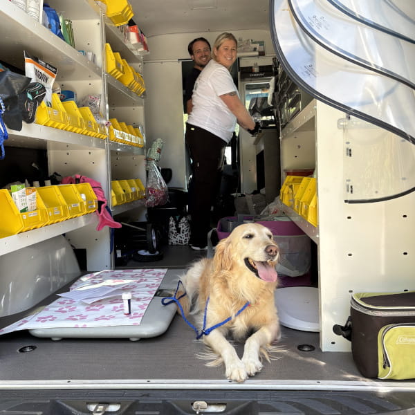 Vet techs snuggling a pet patient