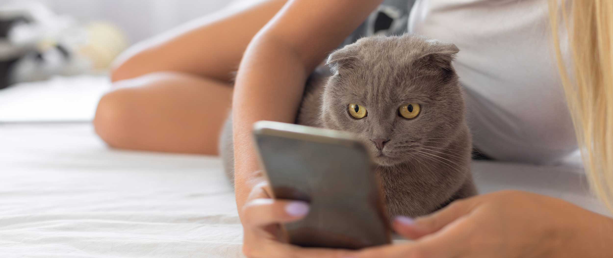 A woman with her cat looking at a phone