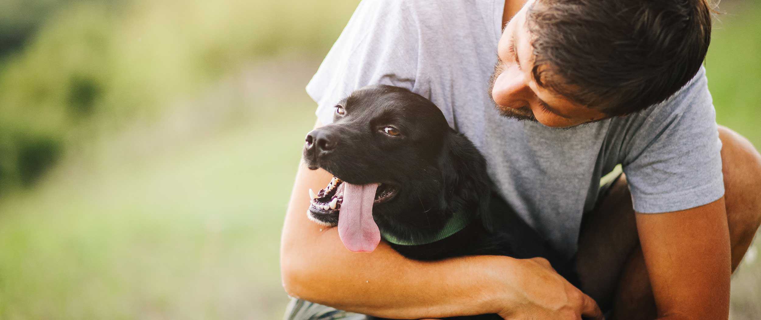 A black lab being hugged by their human