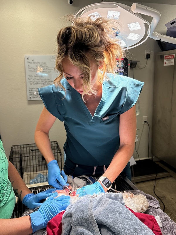 Dr. Bellard performing a procedure